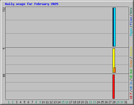 Daily usage for February 2025