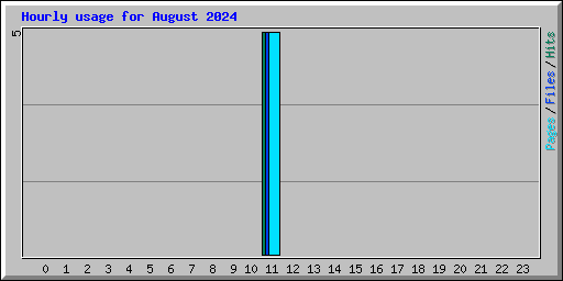 Hourly usage for August 2024