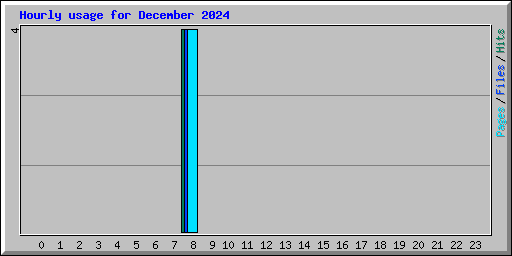 Hourly usage for December 2024
