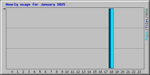 Hourly usage for January 2025
