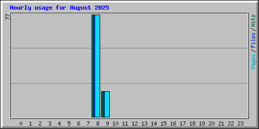 Hourly usage for August 2025