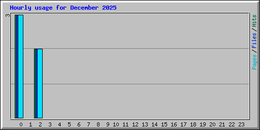 Hourly usage for December 2025