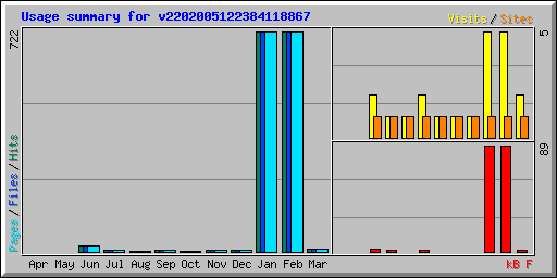 Usage summary for v2202005122384118867